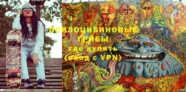 амфетамин Ельня