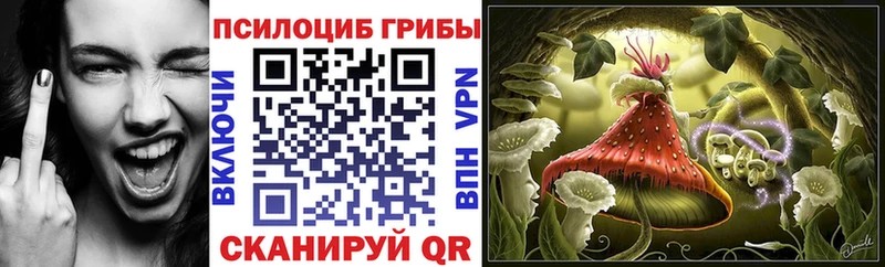 Галлюциногенные грибы мухоморы  Купить закладки  Харовск 